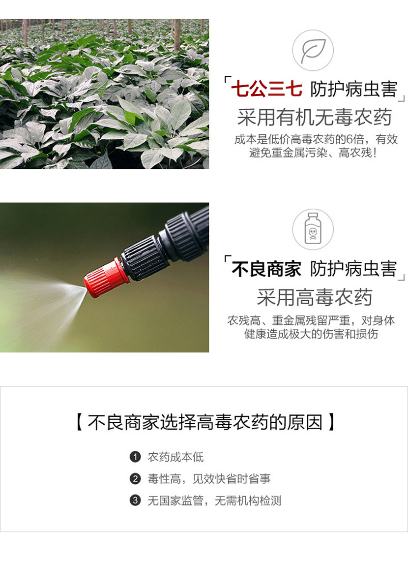 七公精选高级云南文山三七（性价比高）