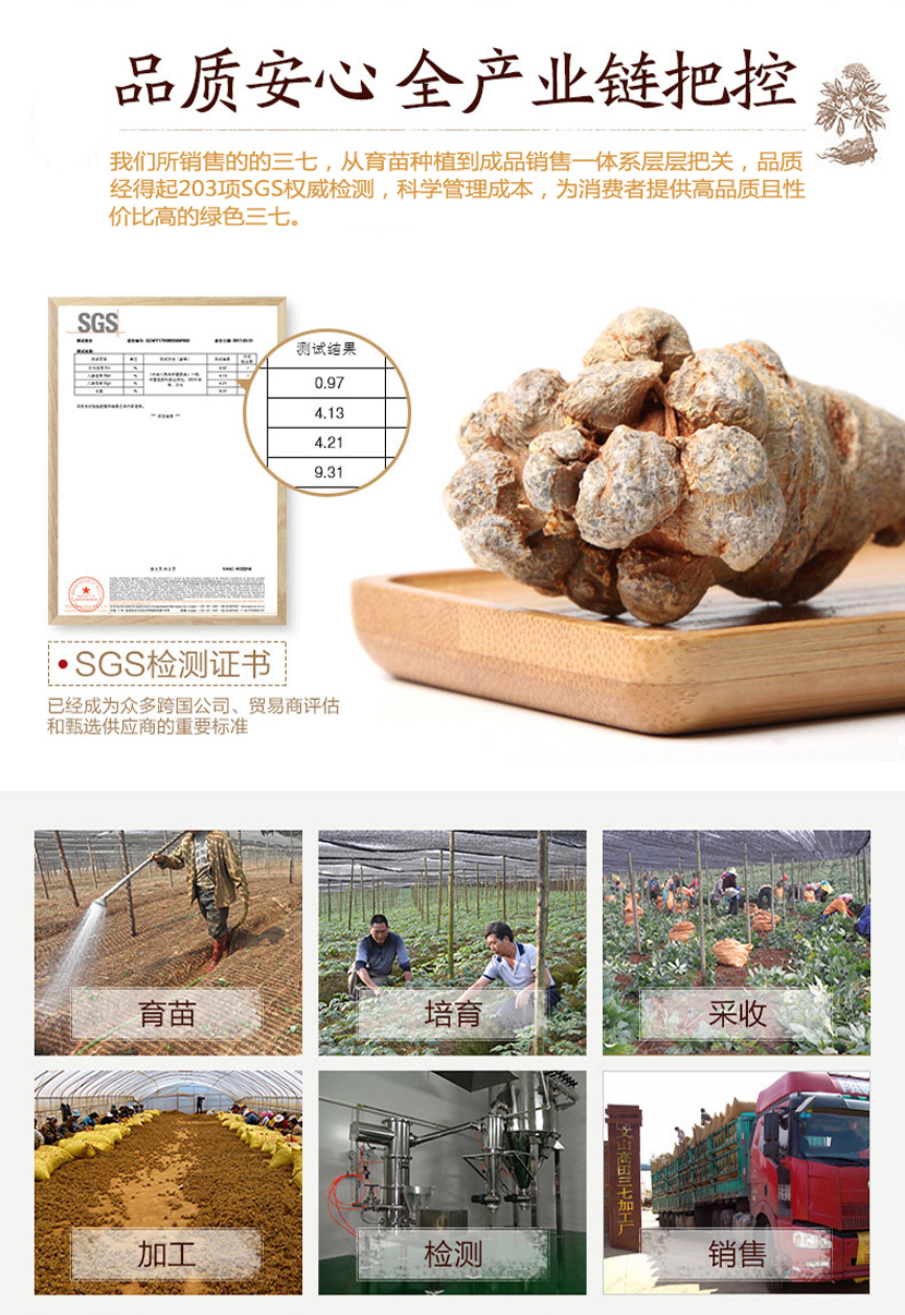 七公精选高级云南文山三七（性价比高）