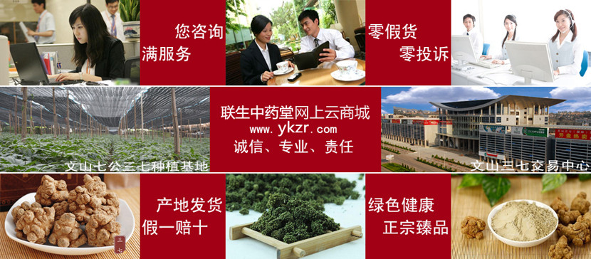 七公精选云南文山三七花（优质新鲜）
