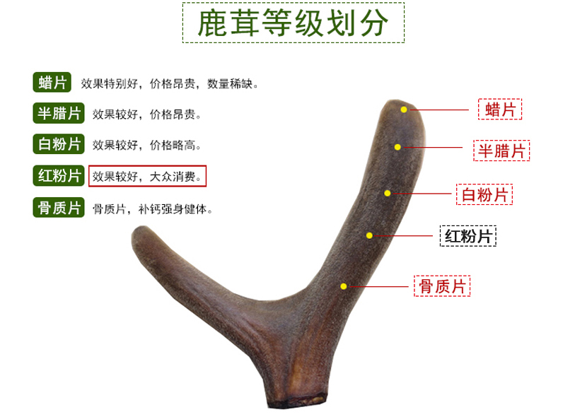 鹿茸片