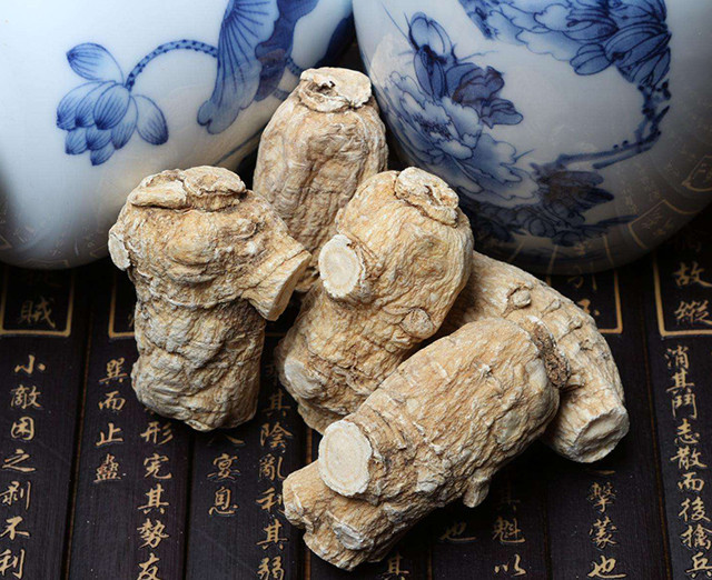 西洋参