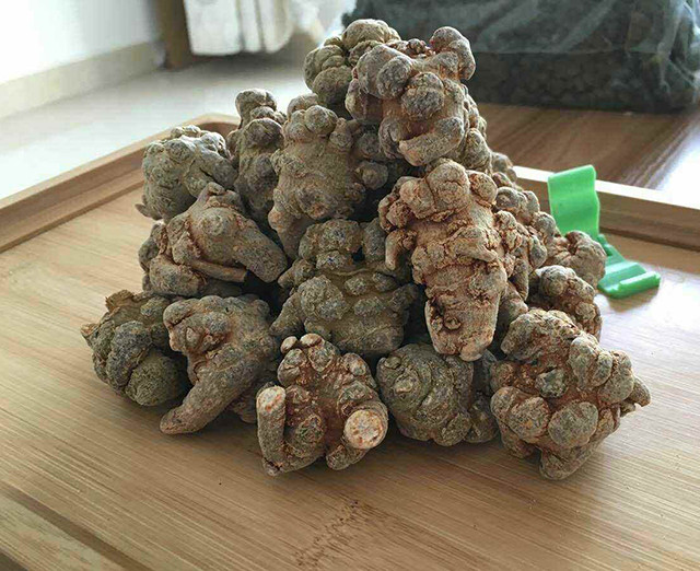 三七实物拍摄