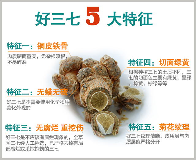 好三七特征