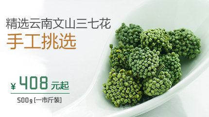 精选云南文山州优质三七花
